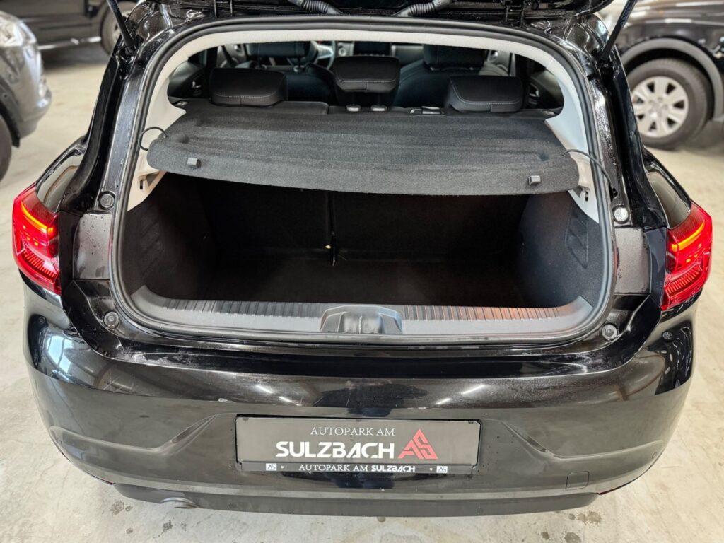 RENAULT Clio BLACK Ansicht 19